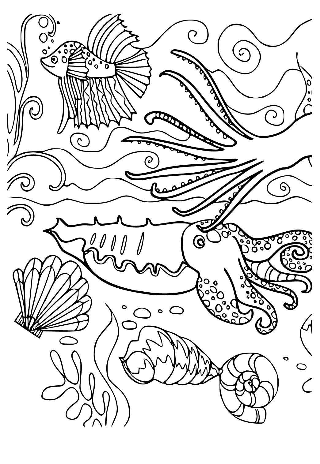 Free printable under the sea shells coloring page for adults and kids