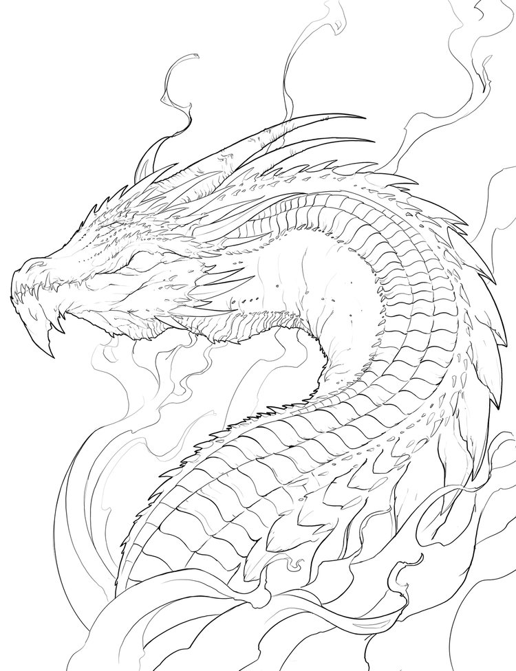 Book of dragons vol coloring book pre order â