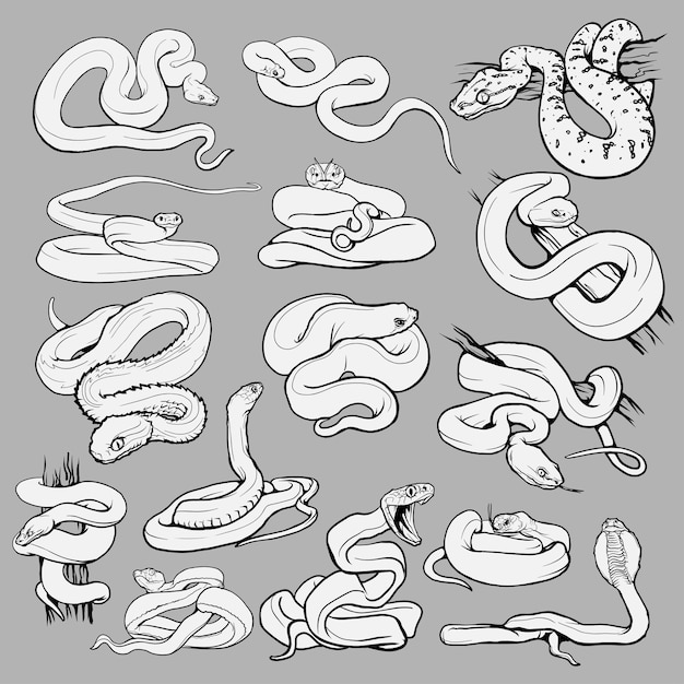 Premium vector set with beautiful different snakes collection reptiles snakesviper boapythoncobra coloring page hand drawn illustration black and white