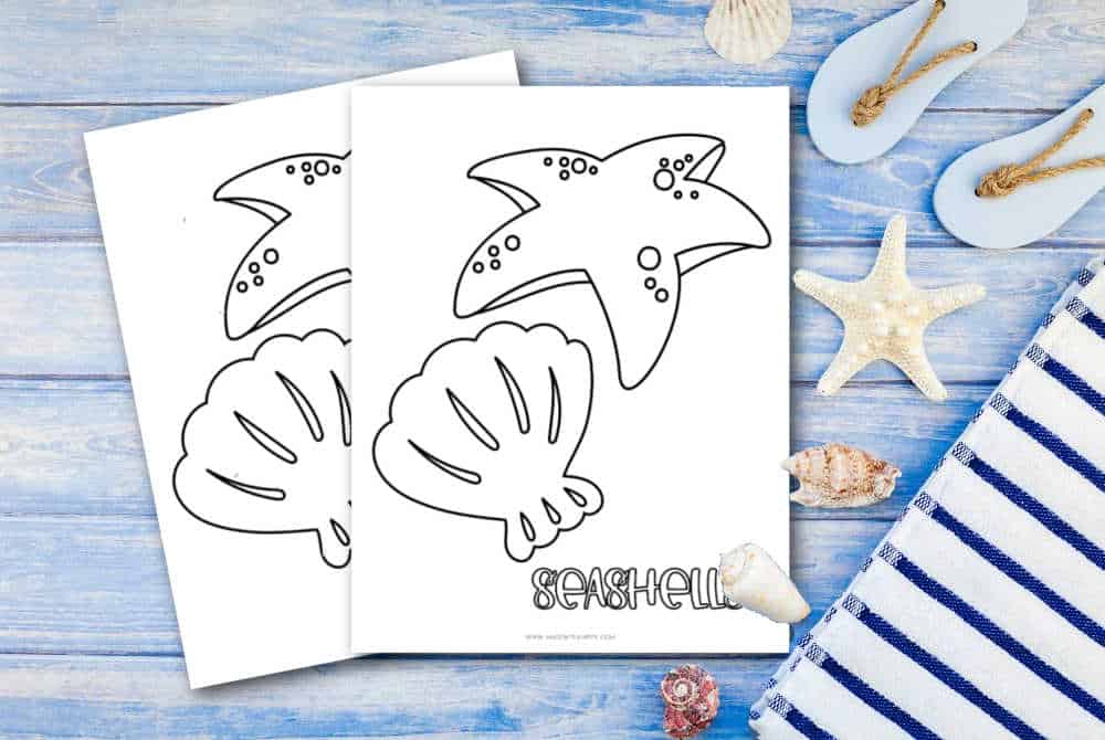 Free printable seashell coloring page