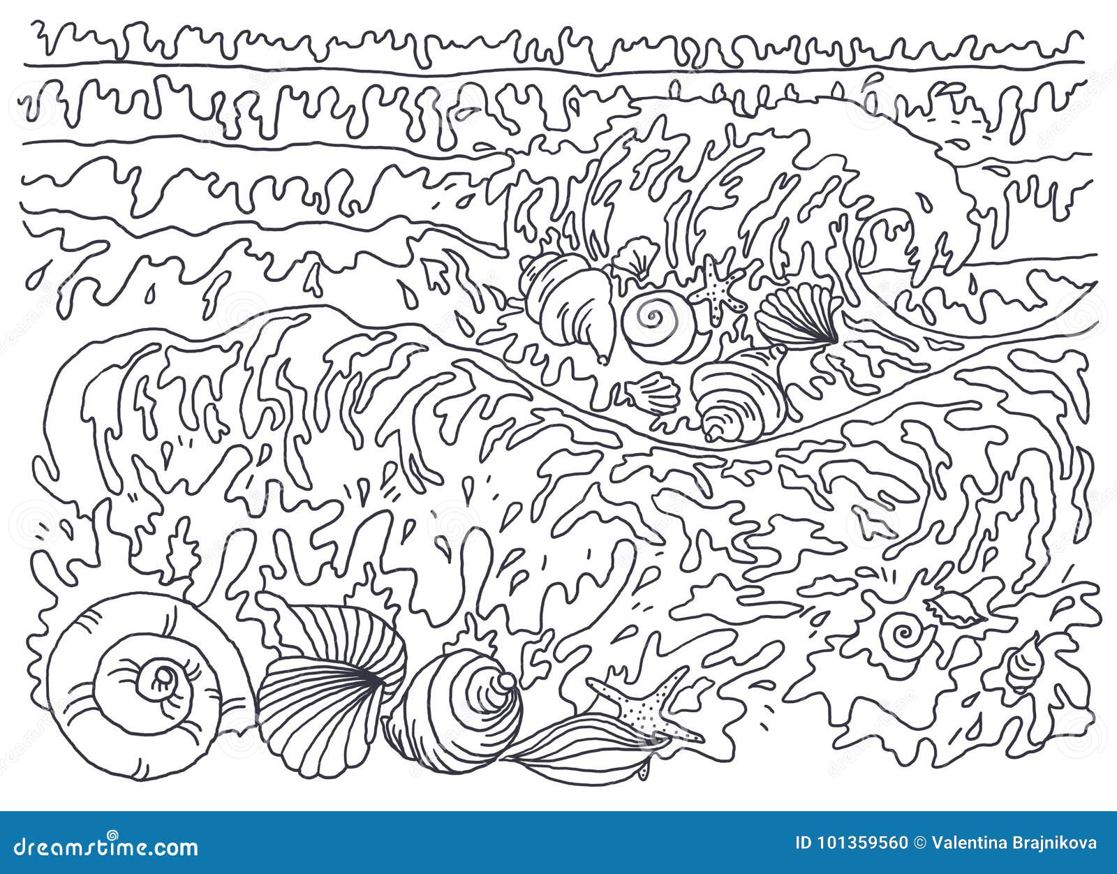 Template for coloring coloring picture sea breeze shells stock illustration