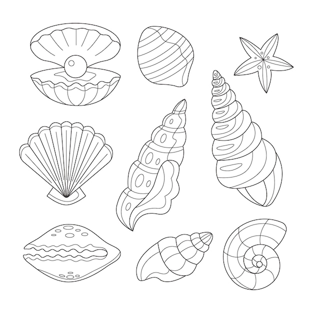 Seashell drawing images