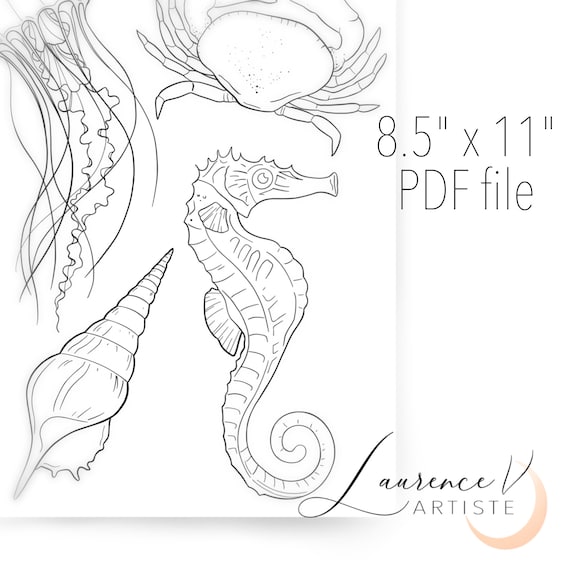 Floral coloring pages printable instant download coloring pages sea ocean shell animals illustrations pdf files to print