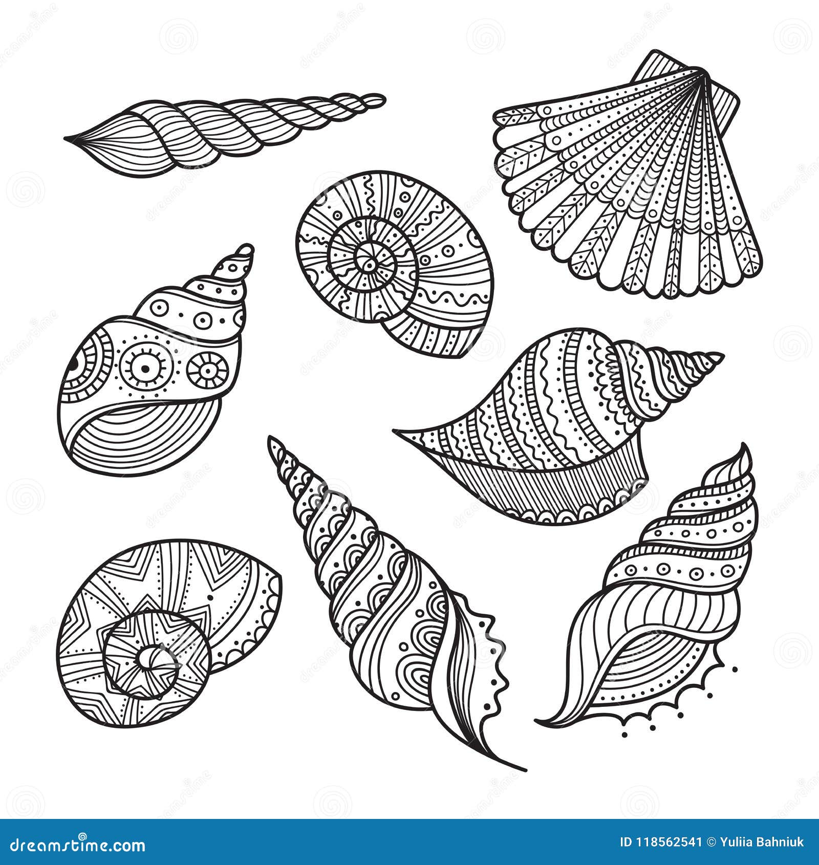 Vector set of shells in ethnic tribal boho style with ornament stock vector