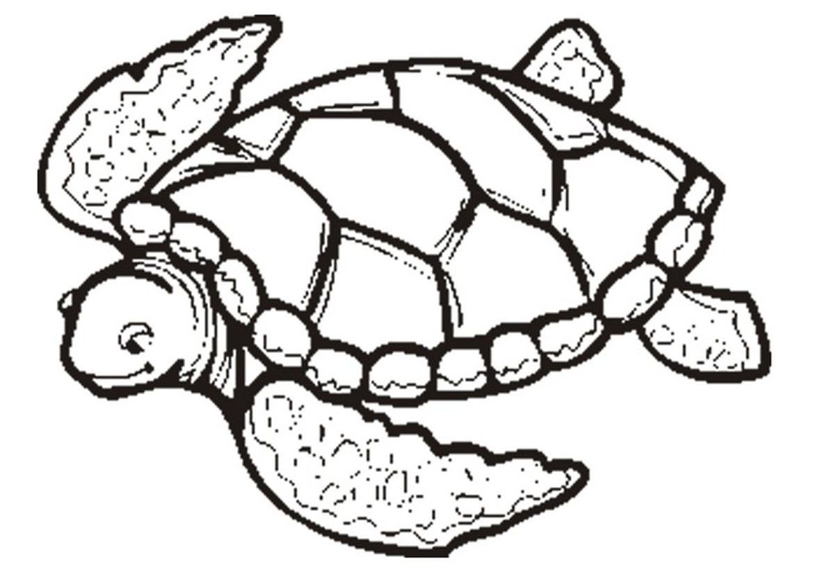 Coloring pages sea turtle coloring pages