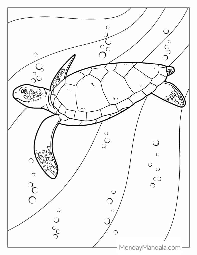 Turtle coloring pages free pdf printables