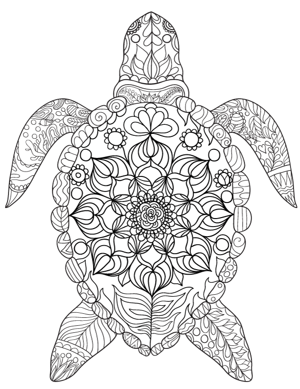 Sea turtle adult coloring page