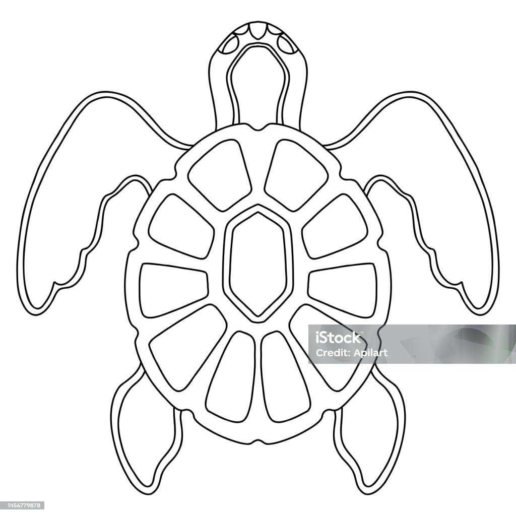 Beautiful sea turtle coloring template vector illustration stock illustration