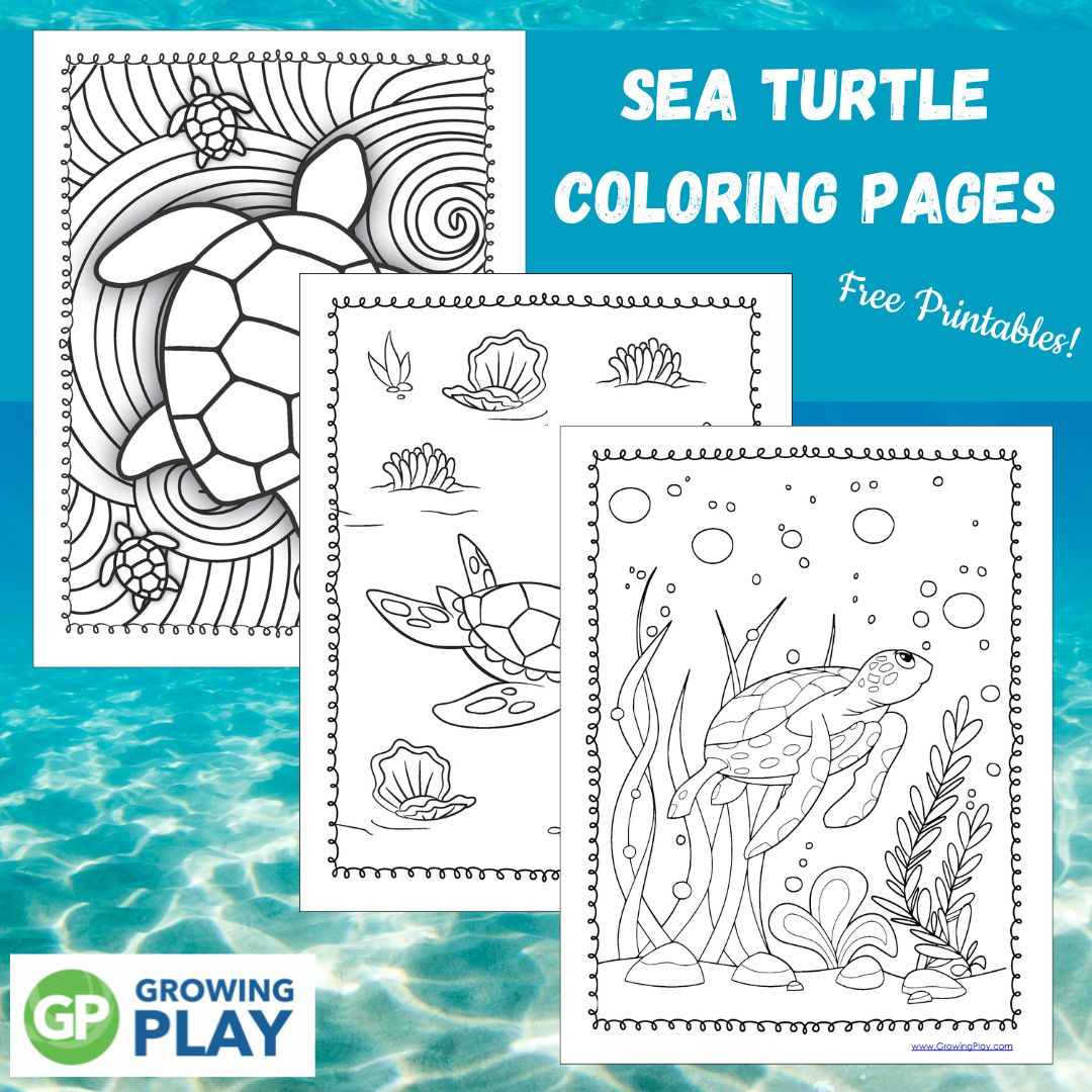 Sea turtle coloring pages