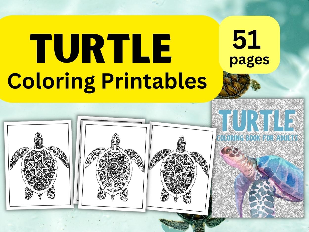 Turtle coloring book for kidsa fun collection of simple abstract turtle designs for kids to color a made by teachers