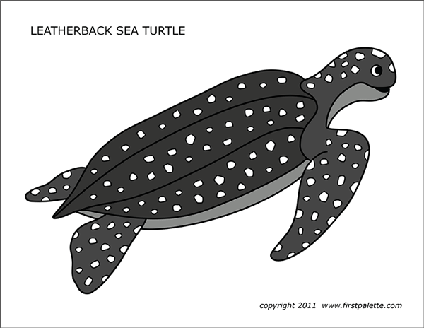 Sea turtles free printable templates coloring pages