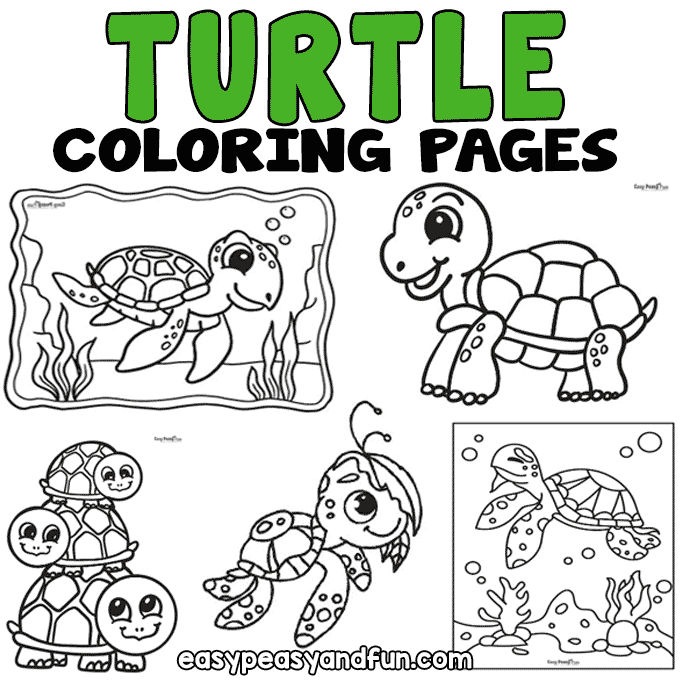 Turtle coloring pages