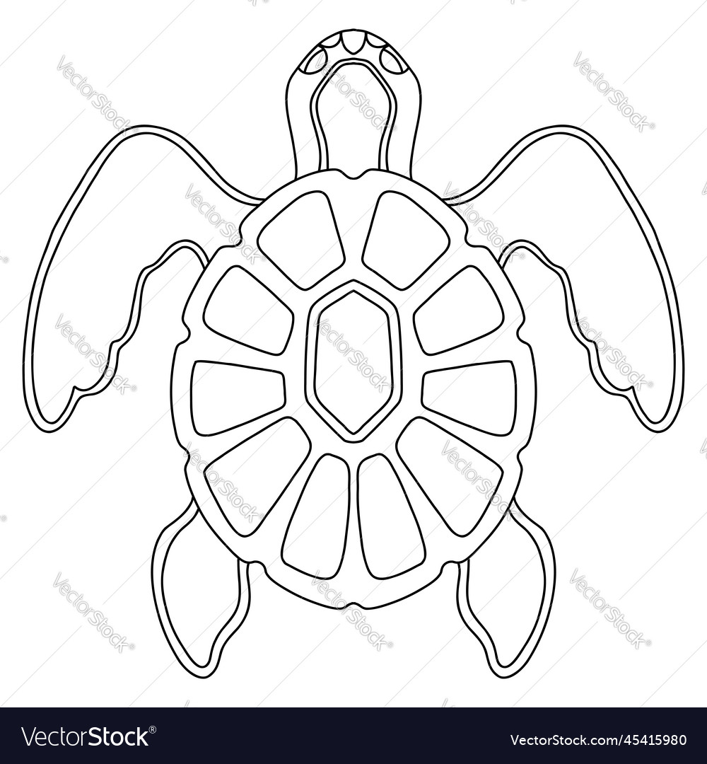 Beautiful sea turtle coloring template royalty free vector