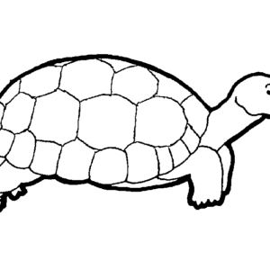 Sea turtle coloring pages printable for free download