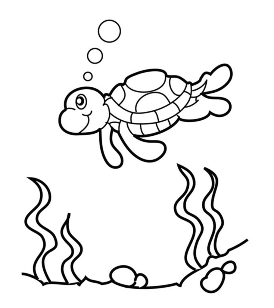 Top free printable cute sea turtle coloring pages online