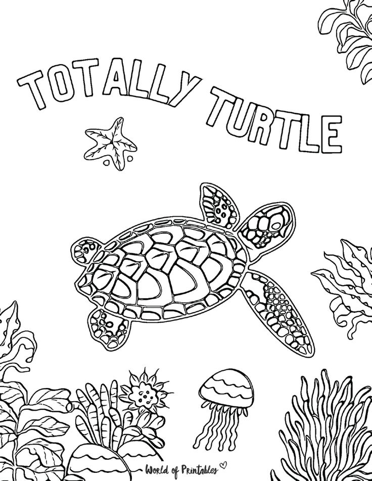 Turtle coloring pages turtle coloring pages mermaid coloring pages cute coloring pages