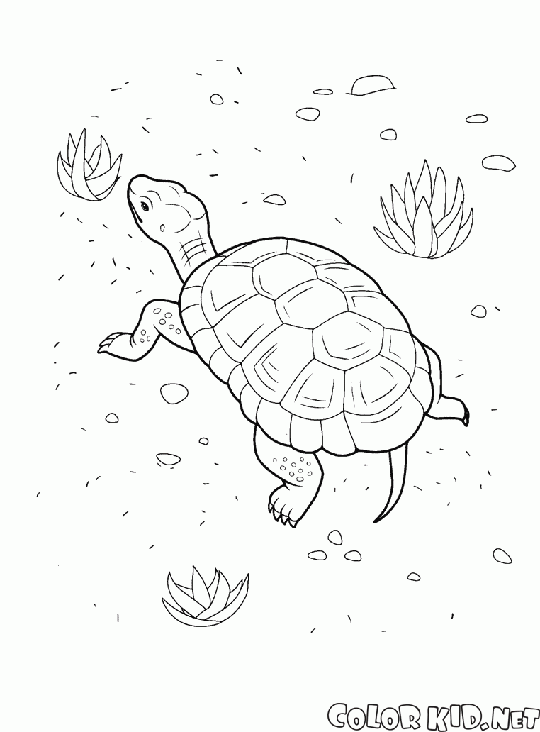 Coloring page