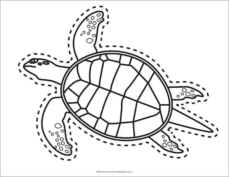 Free printable sea turtle coloring pages templates