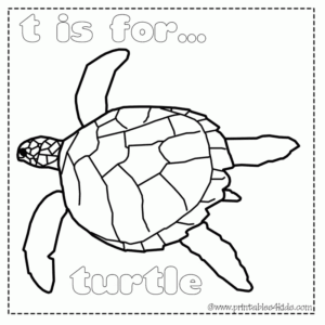 Sea turtle coloring pages printable for free download