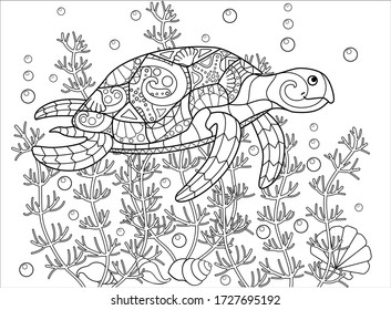 Adult coloring pages turtles images stock photos d objects vectors