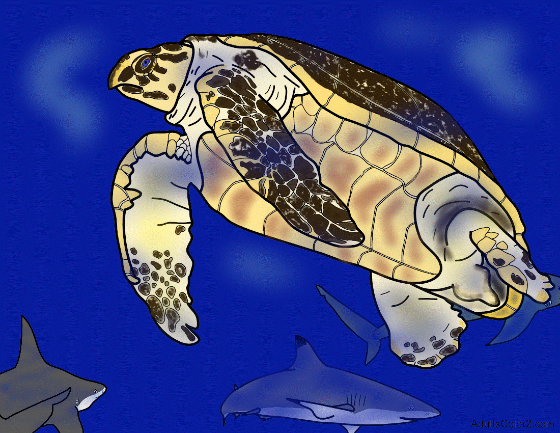 Sea turtle coloring page help hawksbills