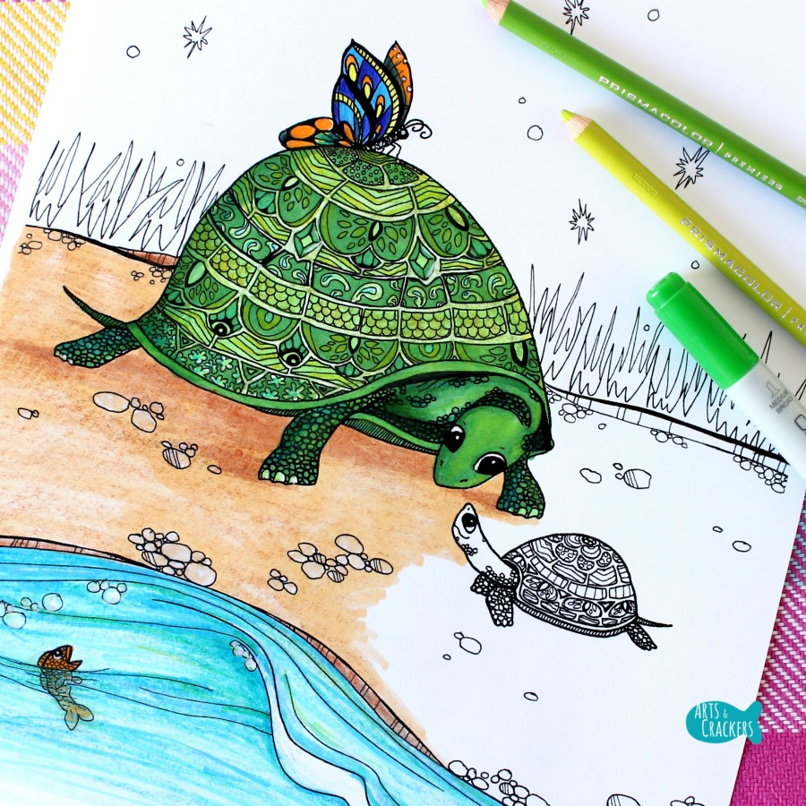 Turtles together turtle coloring page for adults