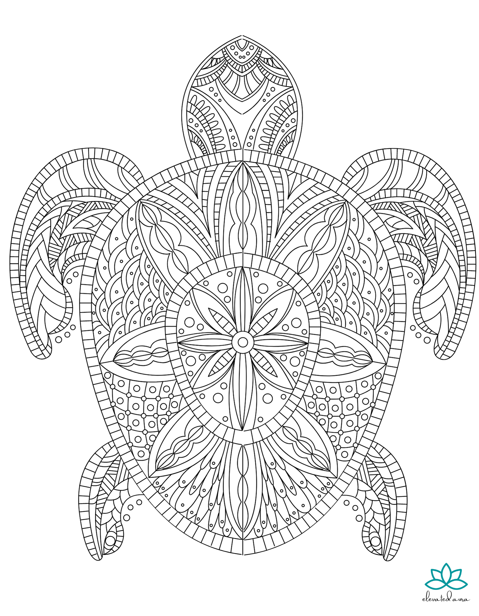 Free sea turtle printable coloring page â elevated aura