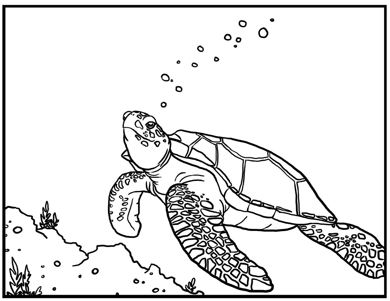 Free printable sea turtle coloring pages for kids