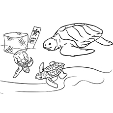 Top free printable cute sea turtle coloring pages online