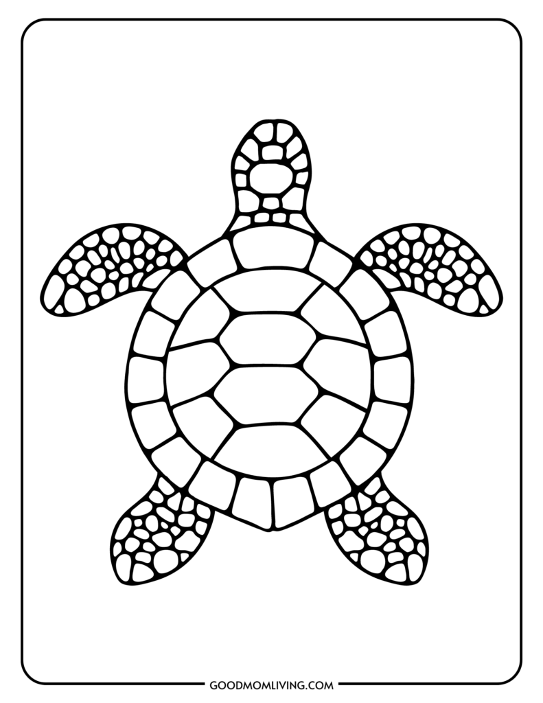 Sea turtle coloring pages free printable turtles