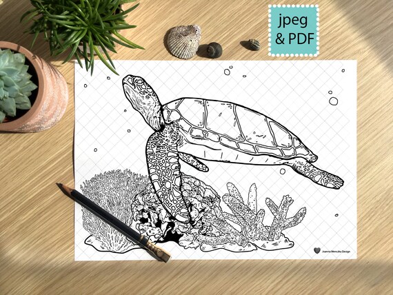 Sea turtle colouring page printable coloring page for adults children instant download turtle coloring page sea turtle coloring sheet download now