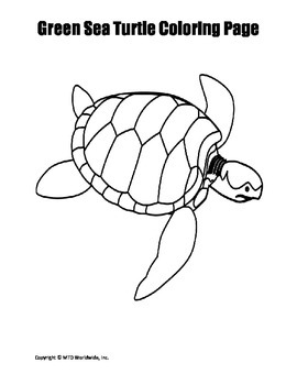 Printable green sea turtle coloring page worksheet by lesson machine