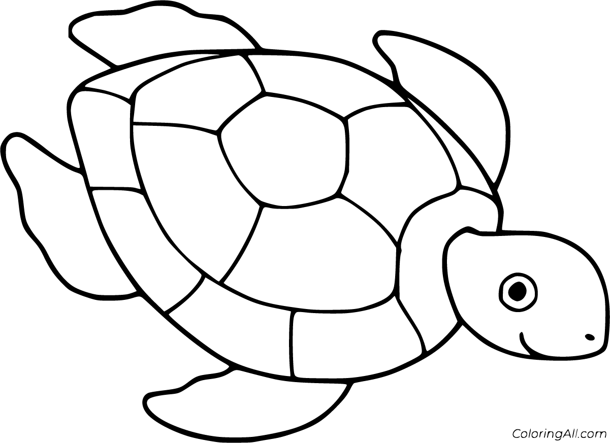 Turtle coloring pages