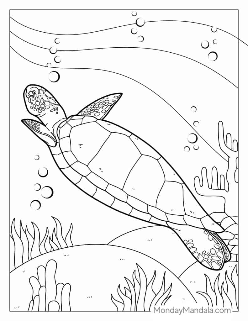 Turtle coloring pages free pdf printables