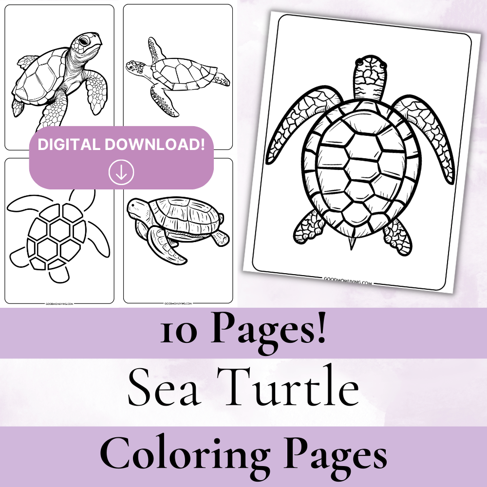 Page sea turtle coloring page book