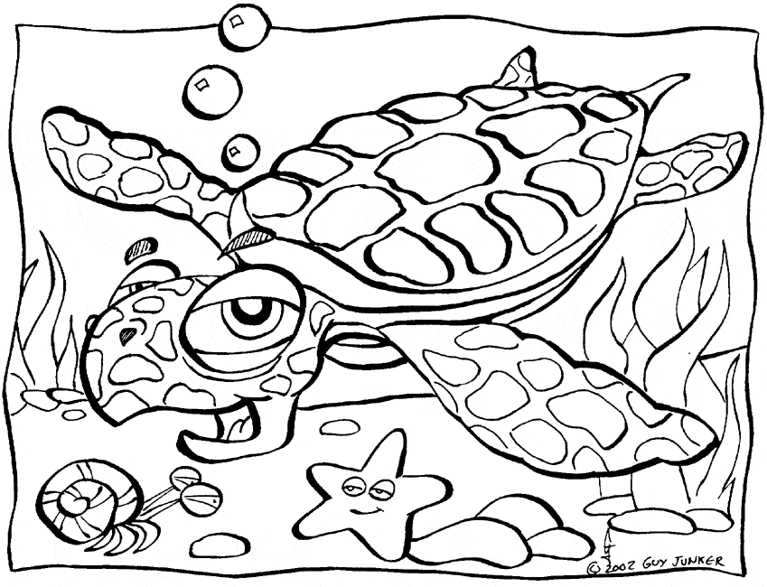 Sea turtle coloring page