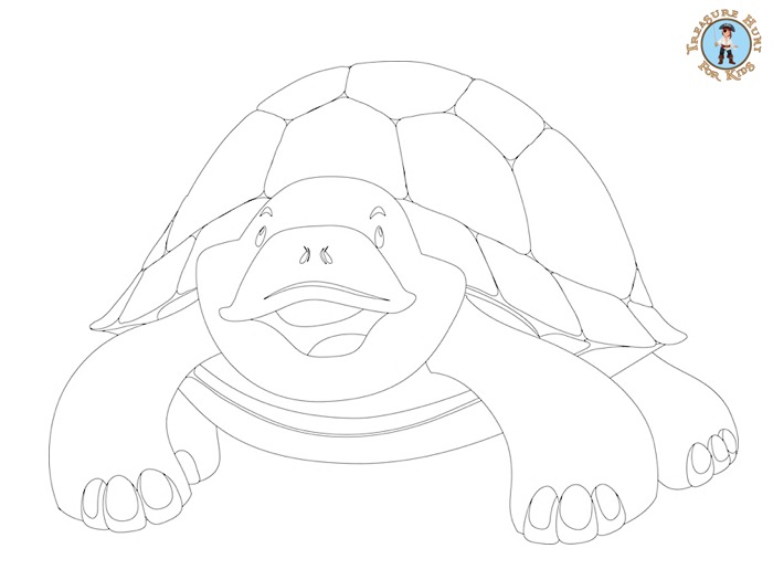 Turtle coloring page