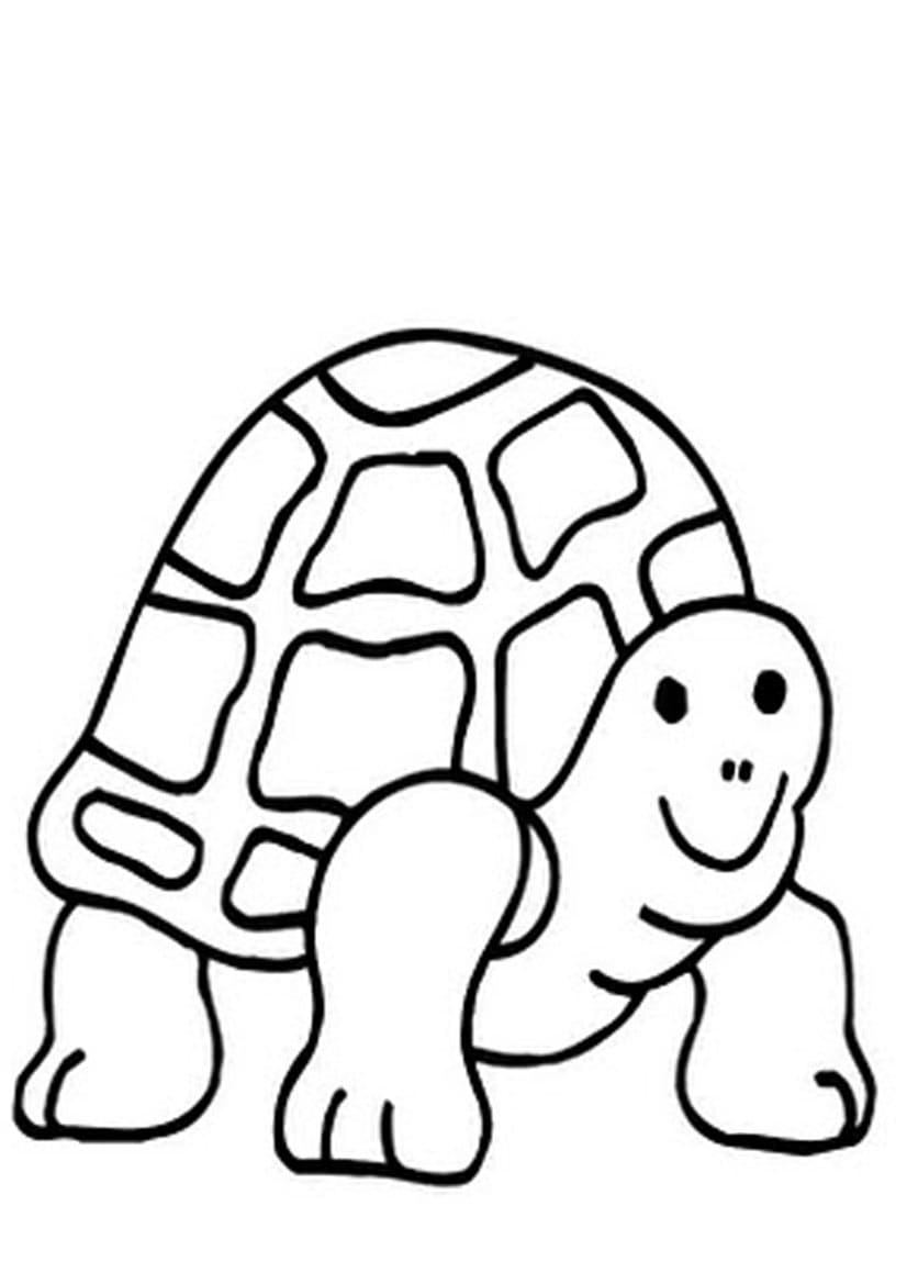 Turtle printable coloring page