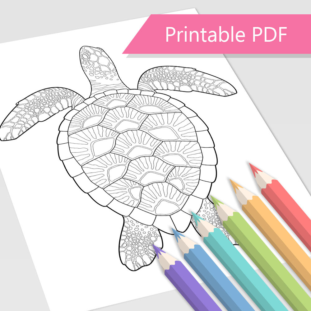 Sea turtle coloring page