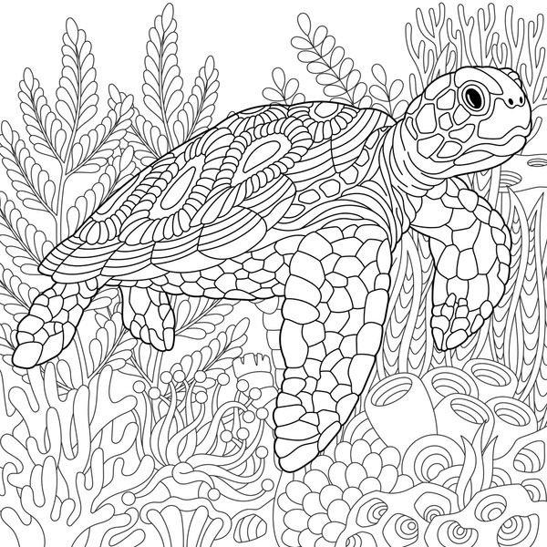 Thousand colouring book turtle royalty