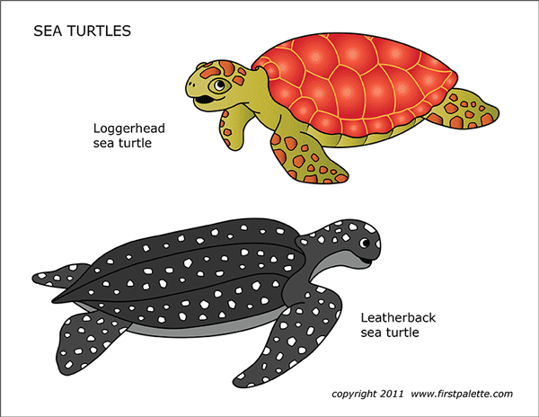 Sea turtles free printable templates coloring pages