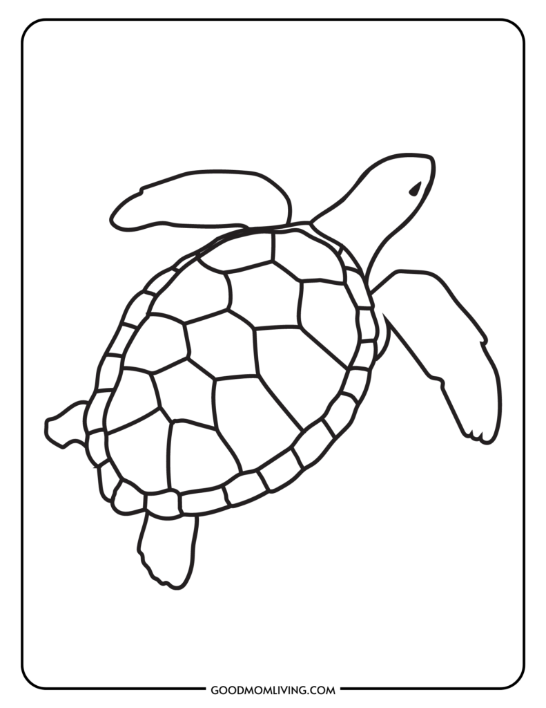 Sea turtle coloring pages free printable turtles