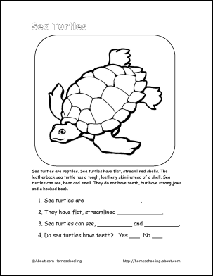 Sea turtle word search crossword puzzle and more