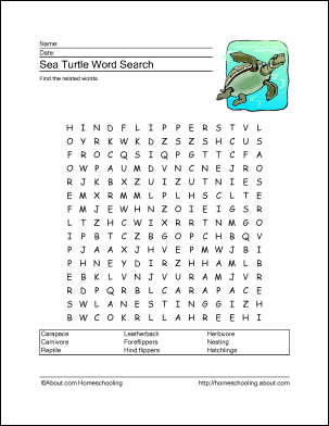 Sea turtle word search crossword puzzle and more