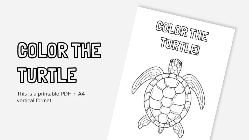 Color the turtle printable coloring worksheet