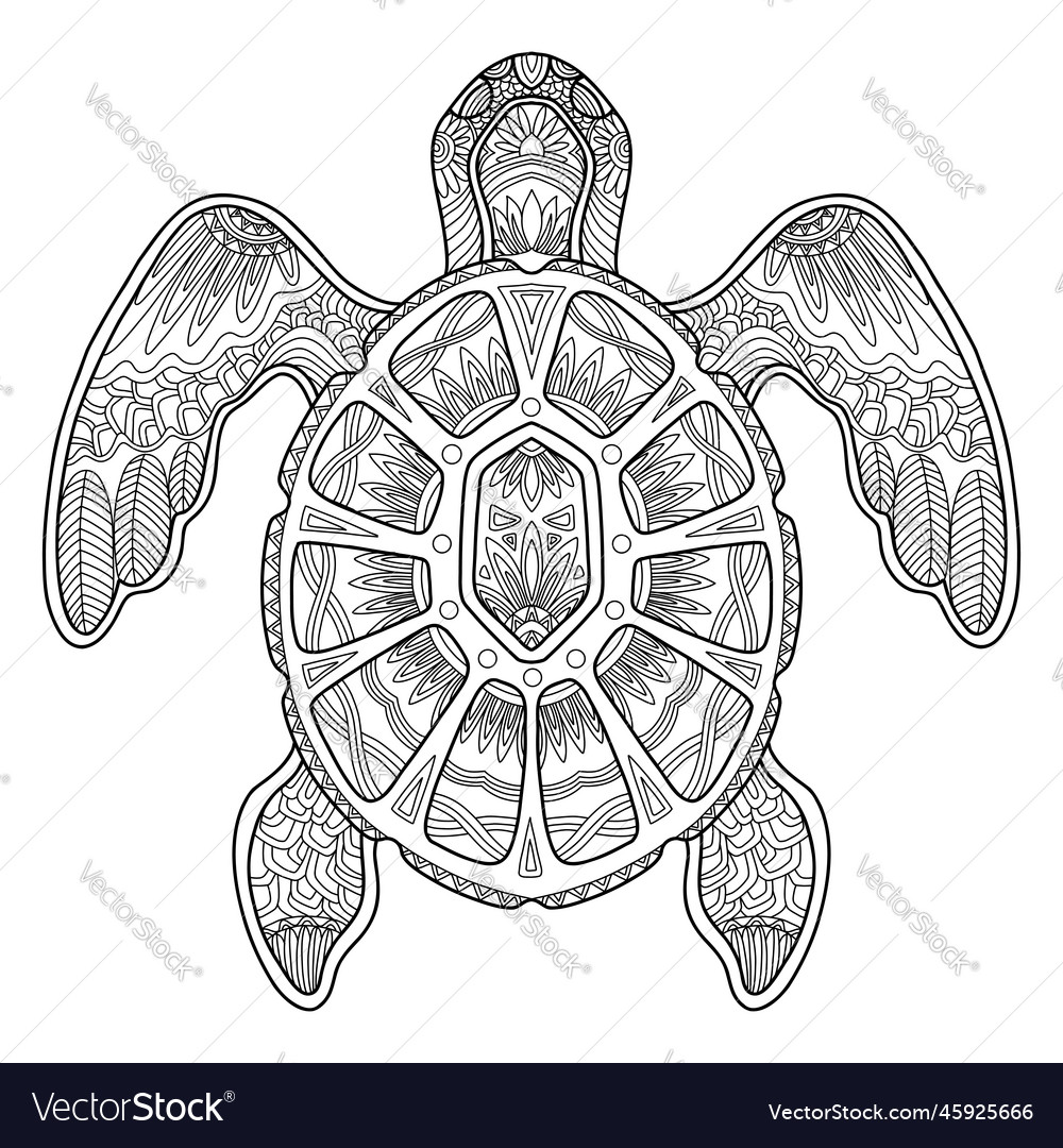 Sea turtle adult antistress coloring page vector image