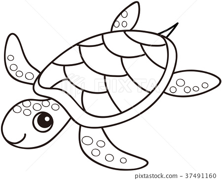 Sea turtle coloring page