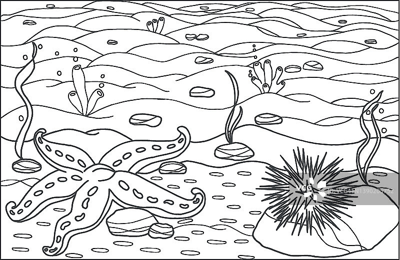 A starfish with sea urchin coloring page hand drawn for relaxation and stress relief coloring book for adults and child with doodles zentangle design elementsæçæççéåæçç æäèè æ ççåæç