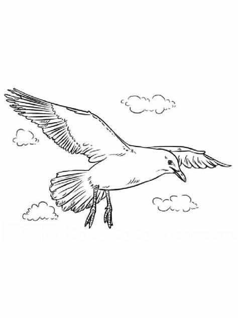 Print seagulls image coloring page