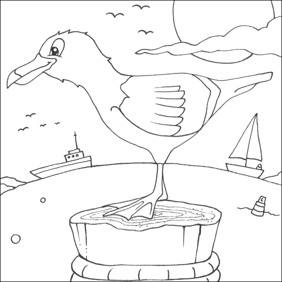 Seagull colouring picture